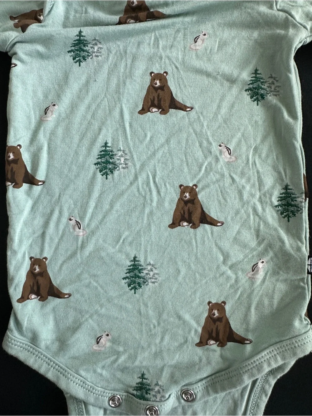 Kyte BABY Mint Green Bear Print Long-Sleeve One-Piece-NEVER WORN